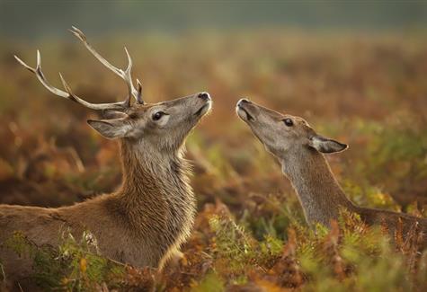 Meet your neighbours in the Peak District