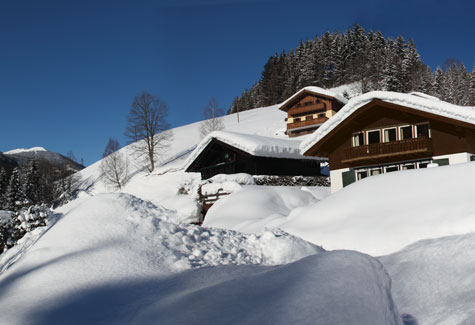 Viehhofen, Austria