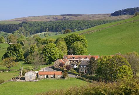 Small Steps Towards Perfection Up On The Moors