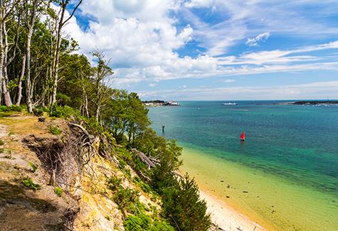 Brownsea Island: wildlife, walks and a wetland reserve