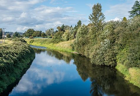 Chalk streams in England