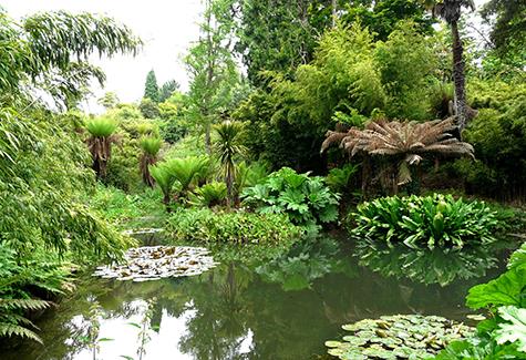 The Lost Gardens of Heligan, Cornwall