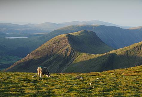 Discover two of the Lake District