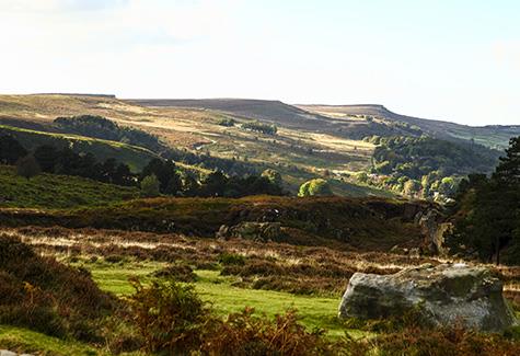 What to do in Nidderdale AONB